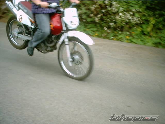 Photo 138574