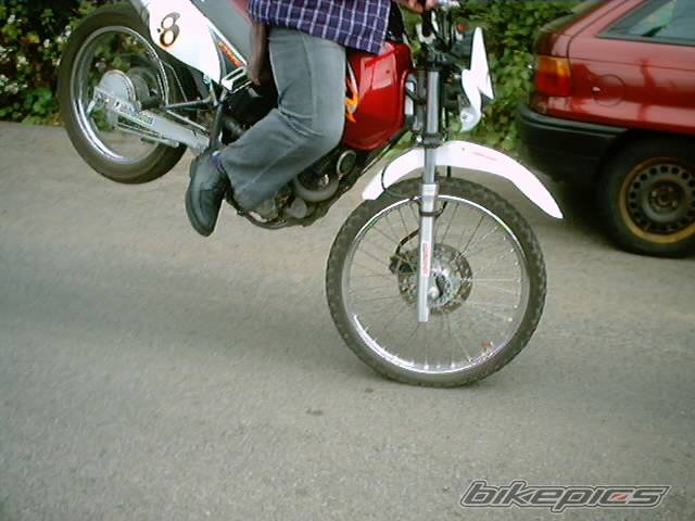 Photo 138575