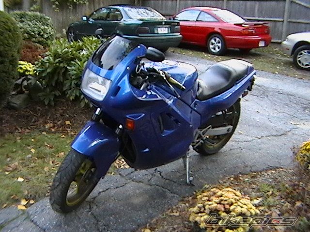 Photo 1385761