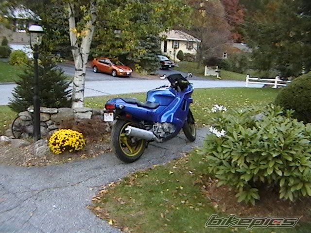 Photo 1385762