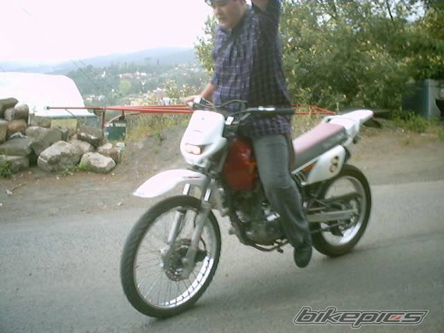 Photo 138580