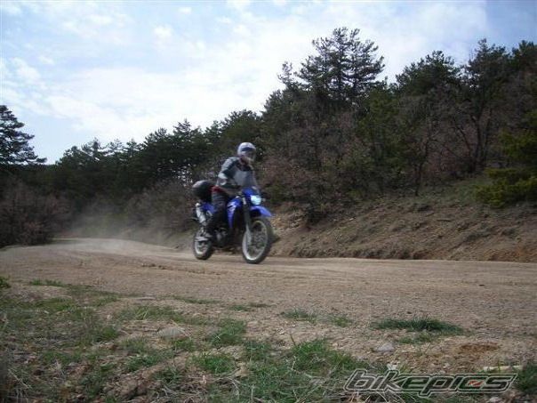 Photo 1385871