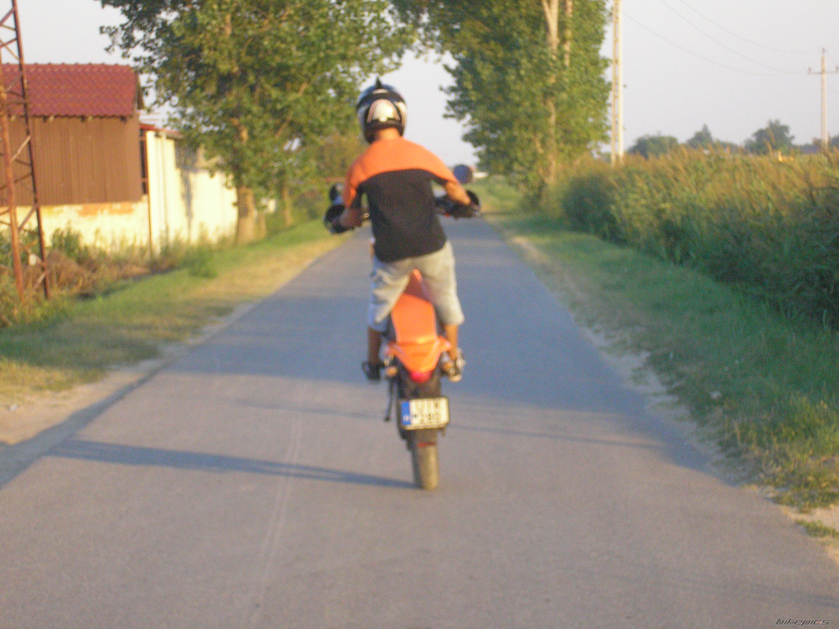 Photo 1385883