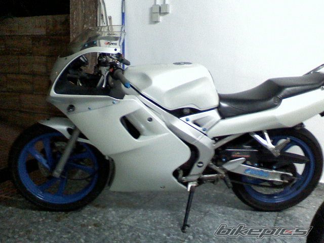Photo 1385922