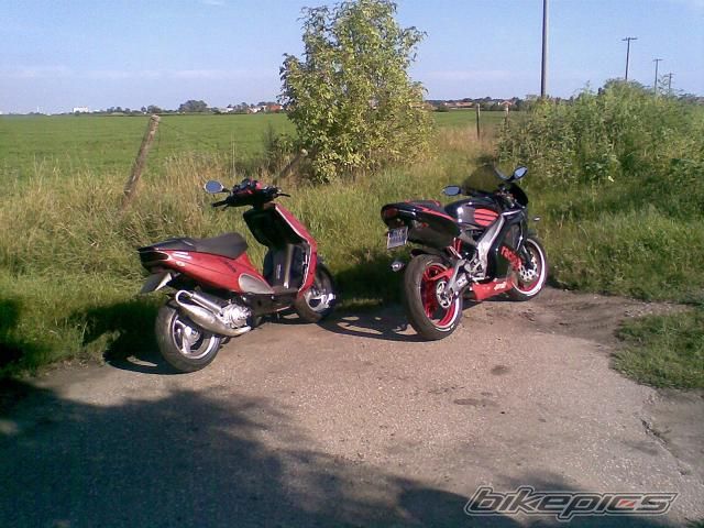 Bike Photo 1385958