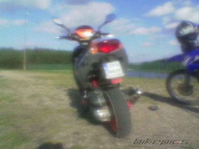 Photo 1385972