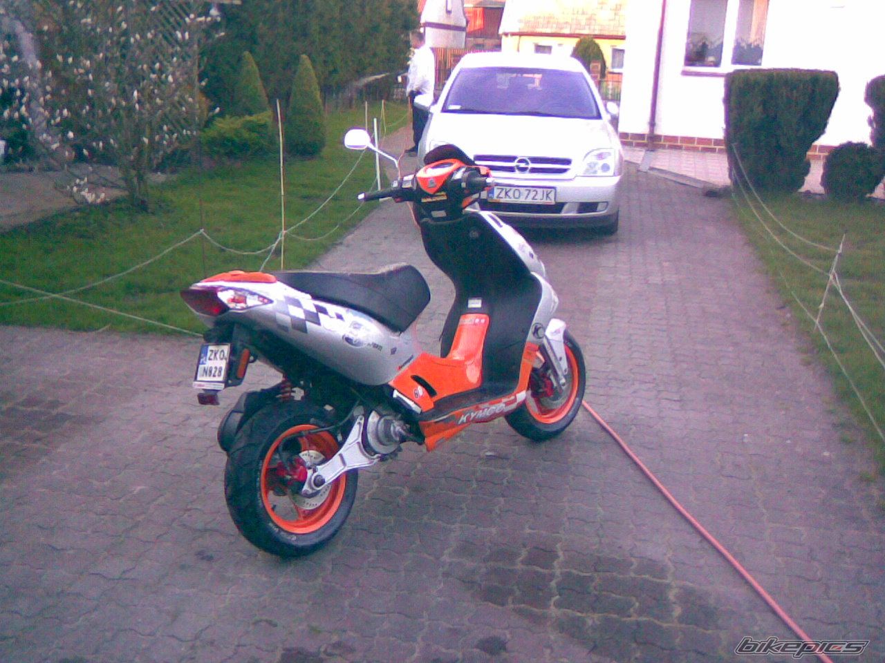 Photo 1385975