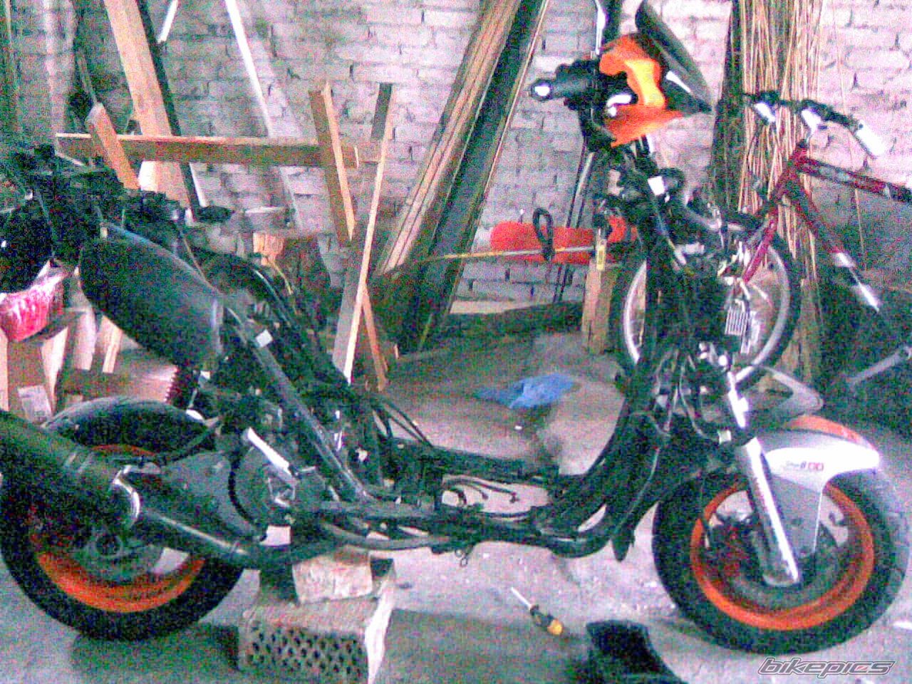 Photo 1385982