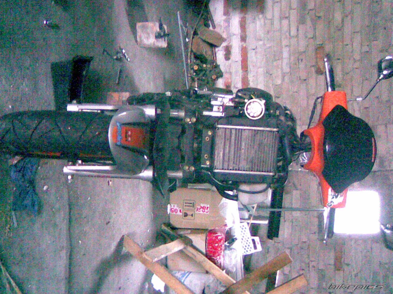 Photo 1385983