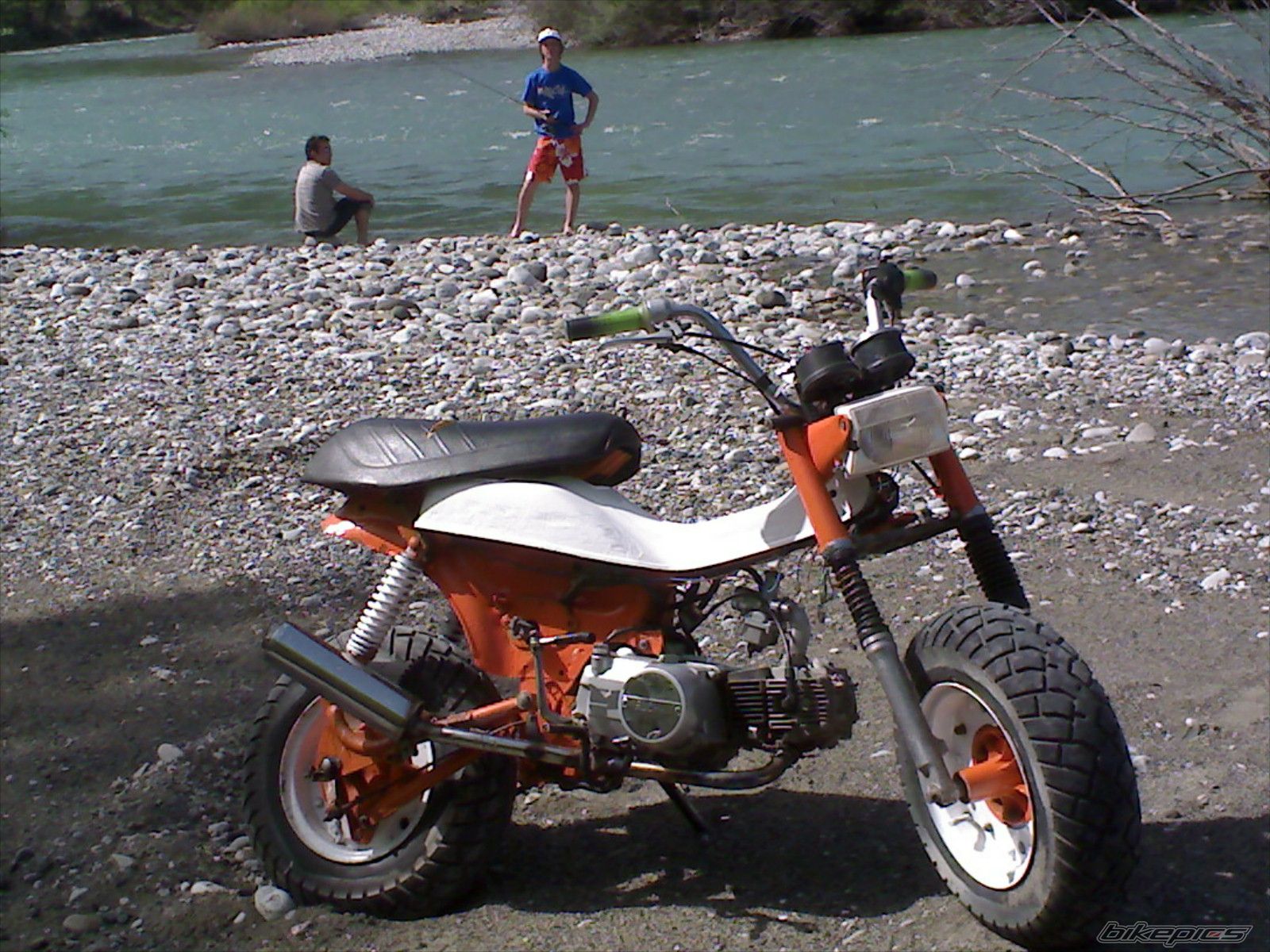 Photo 1386006