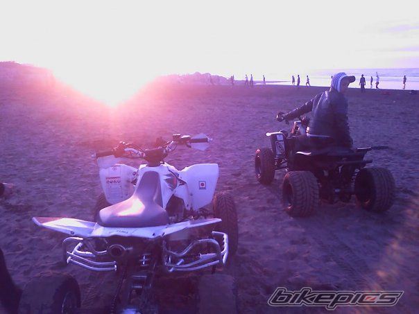 Photo 1386061
