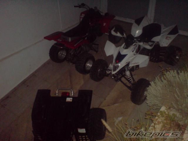 Photo 1386064