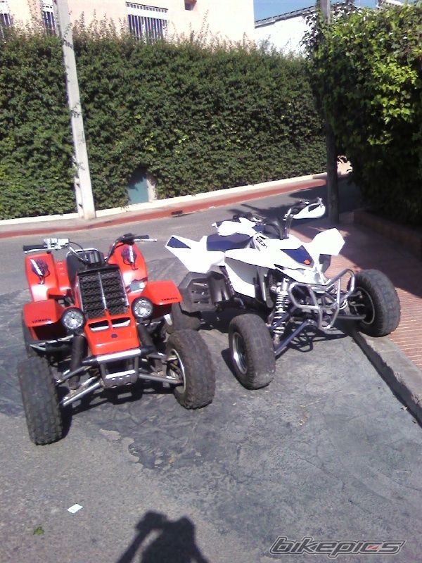Photo 1386066