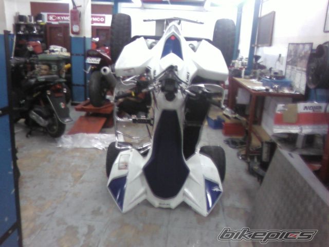 Photo 1386067