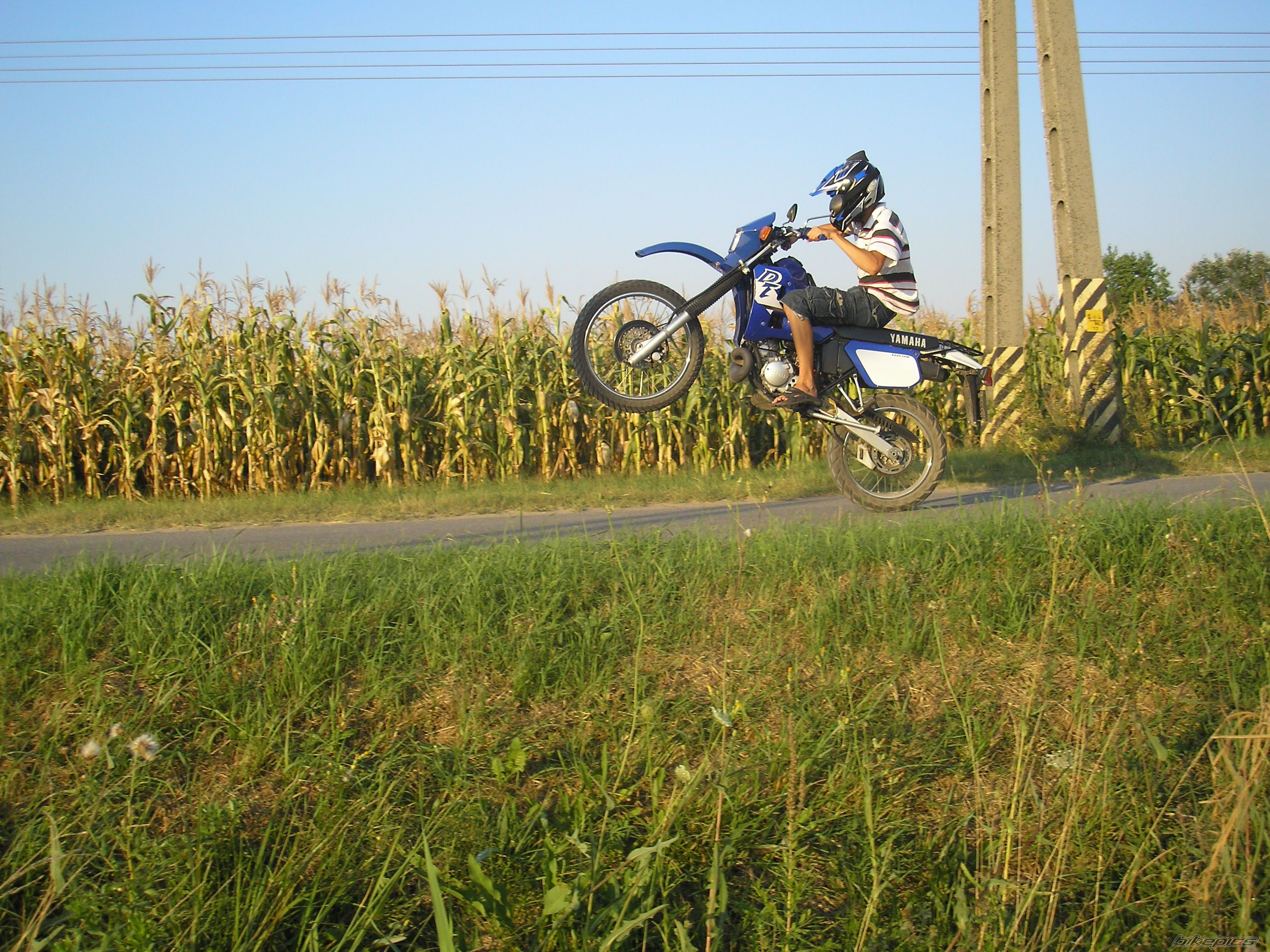 Photo 1386077