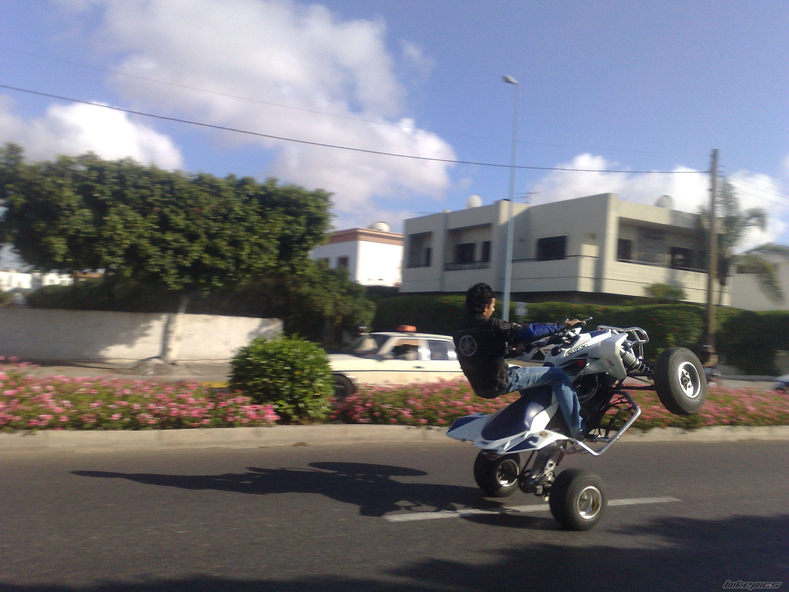 Photo 1386085