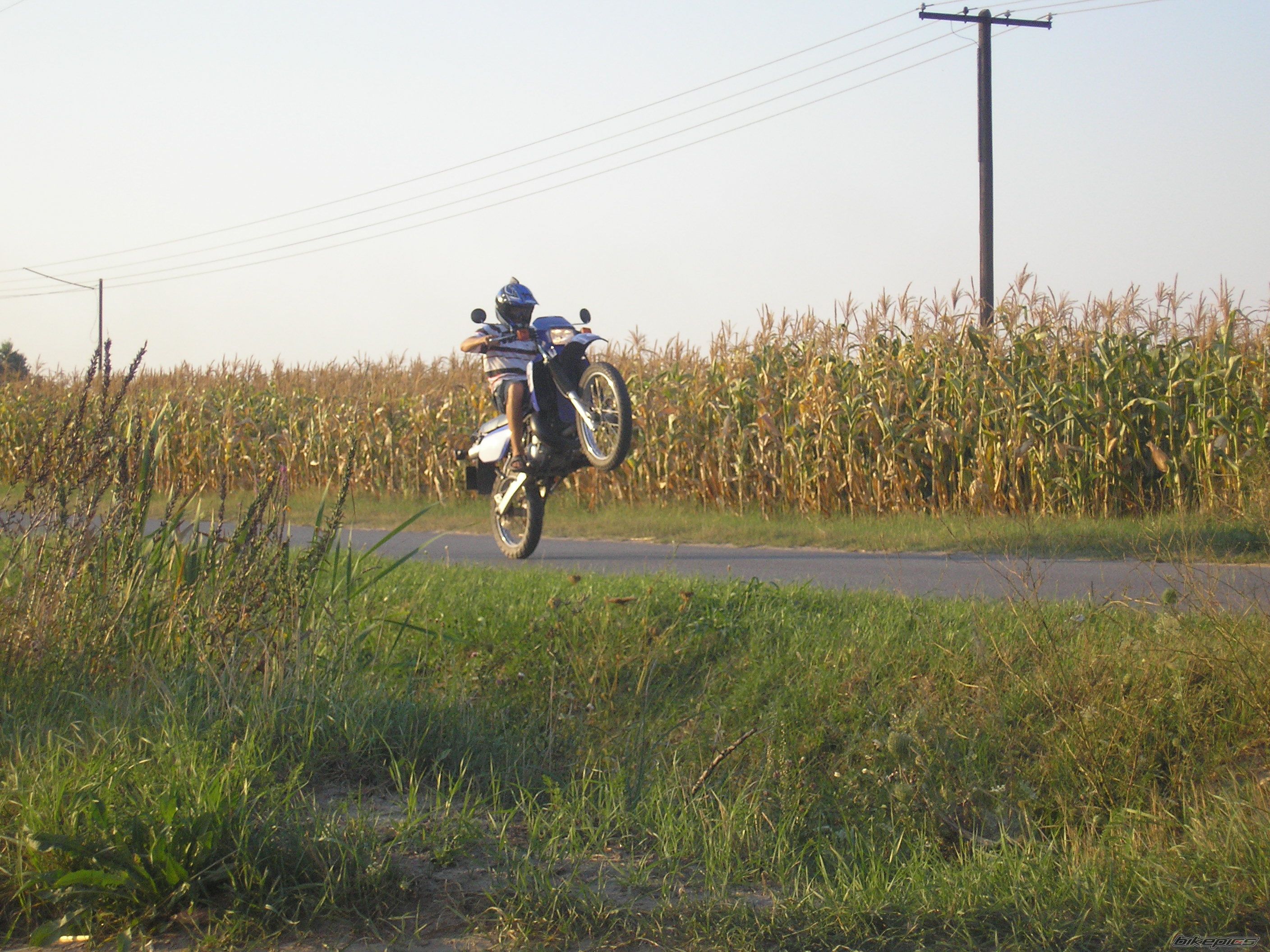Photo 1386086