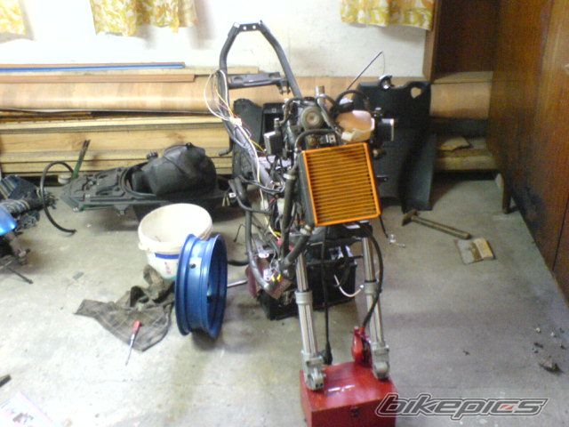 Photo 1386169