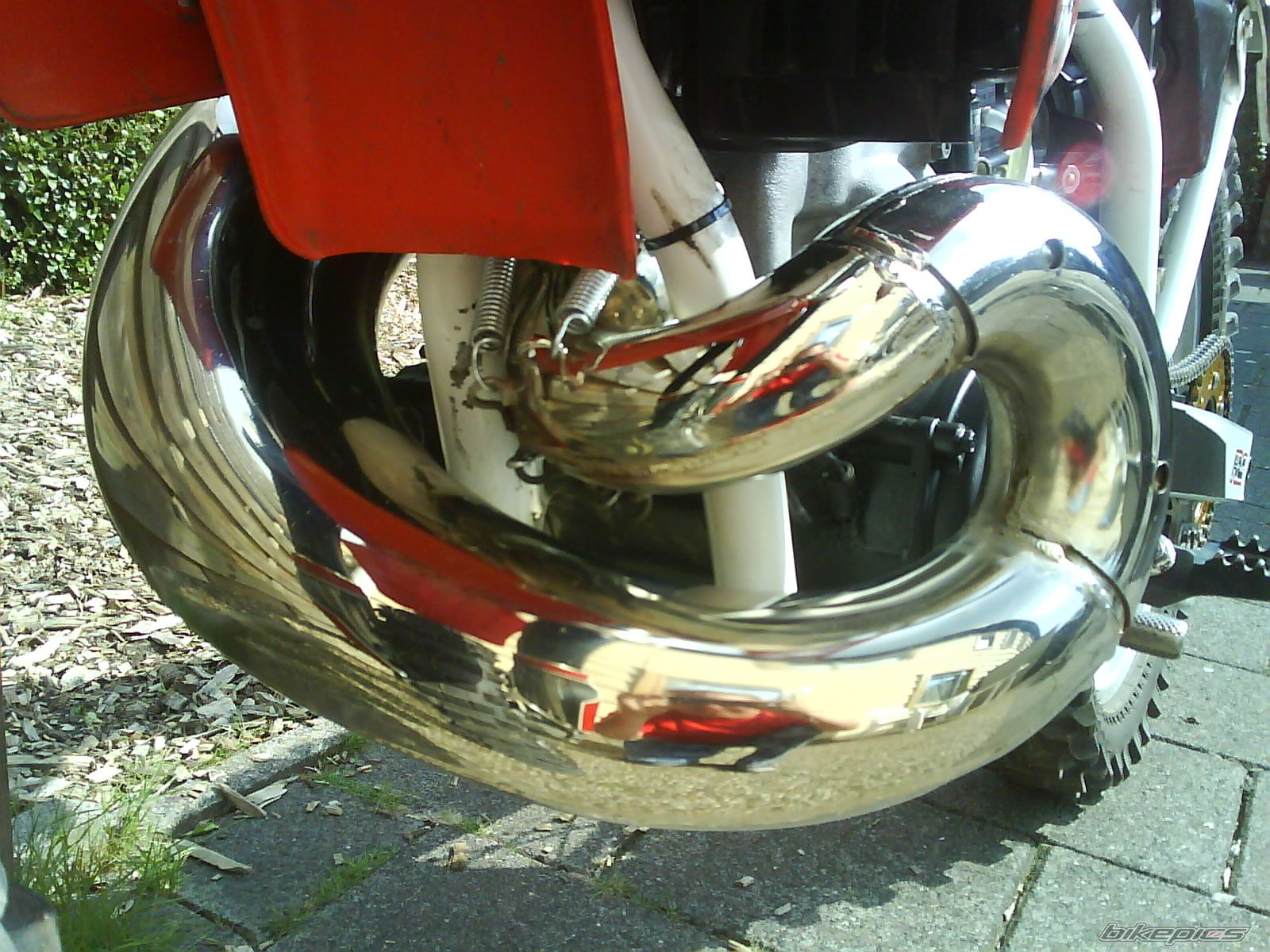 Photo 1386181