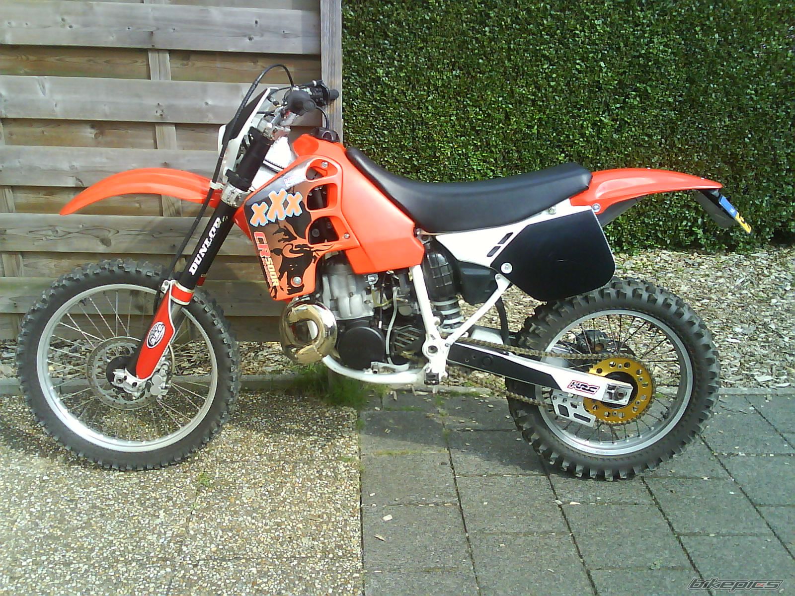 Photo 1386183