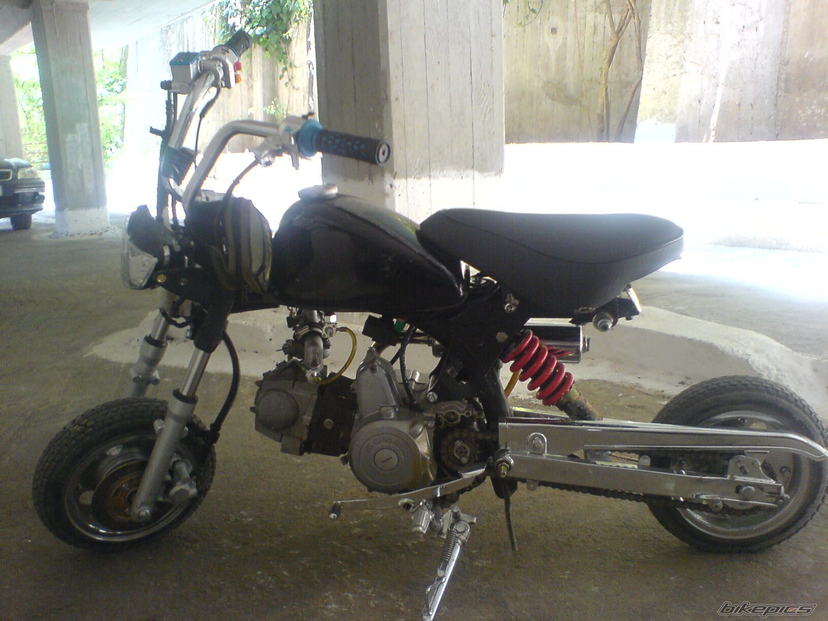 Photo 1386193