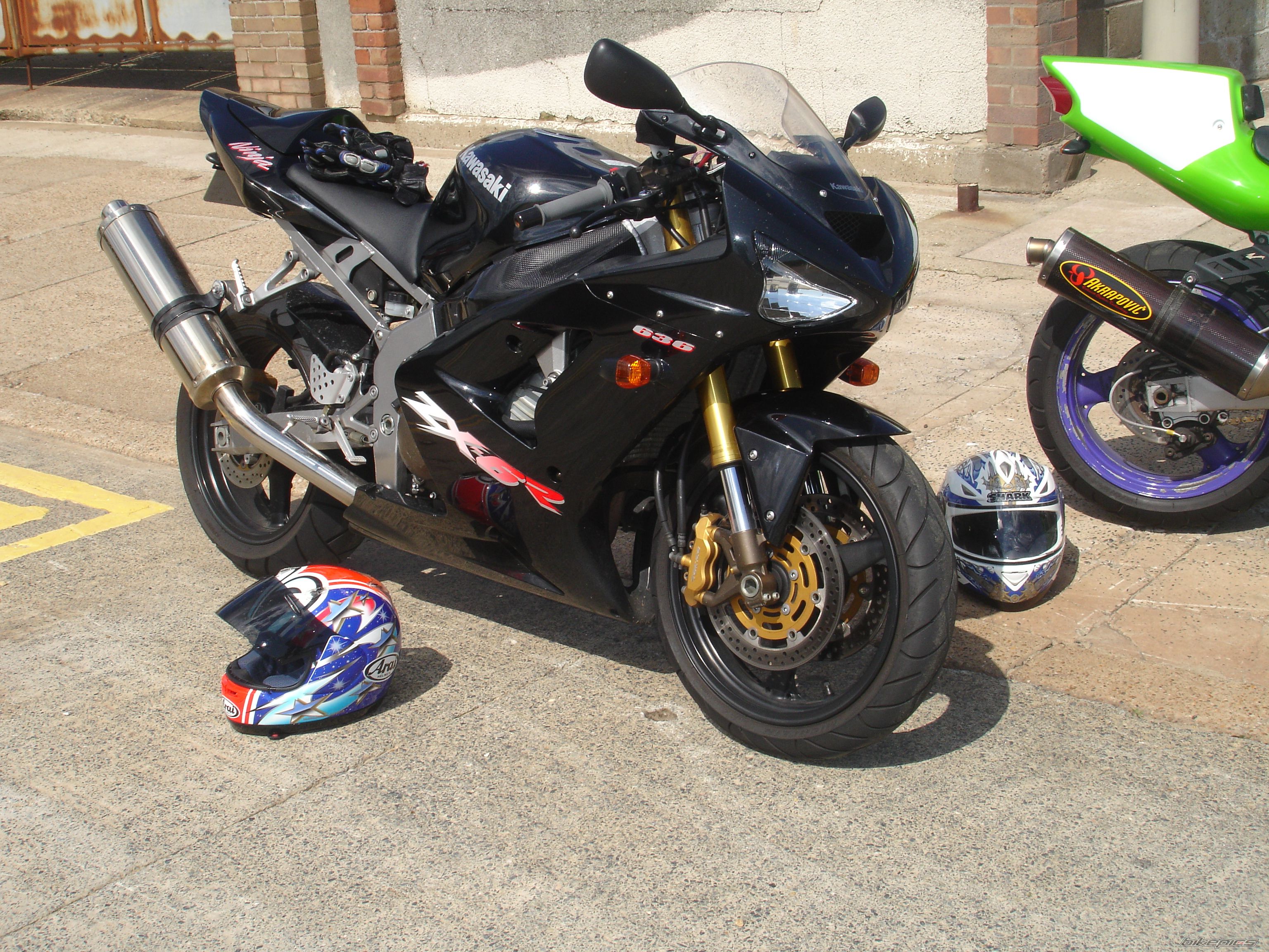 Photo 1386246