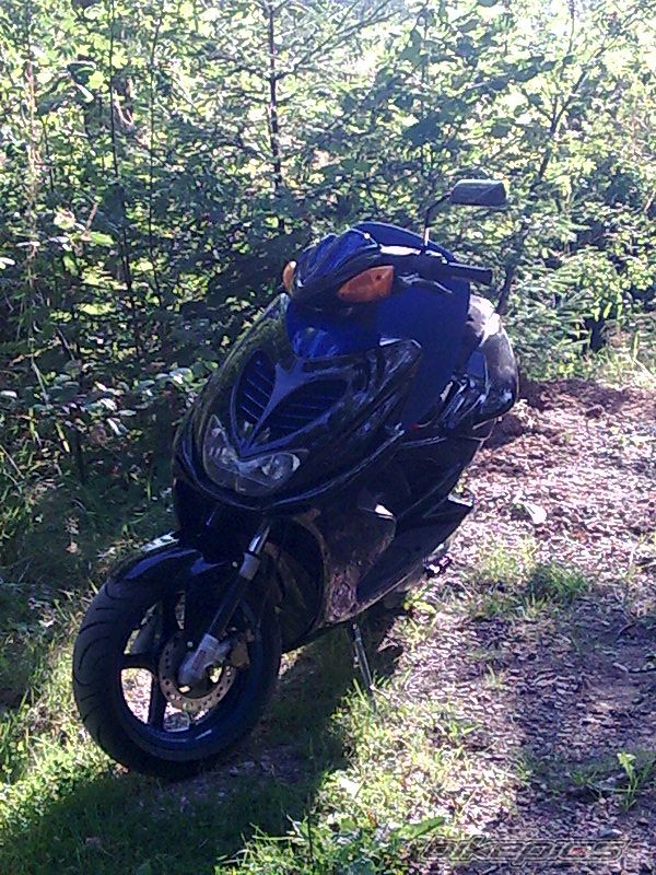 Photo 1386260