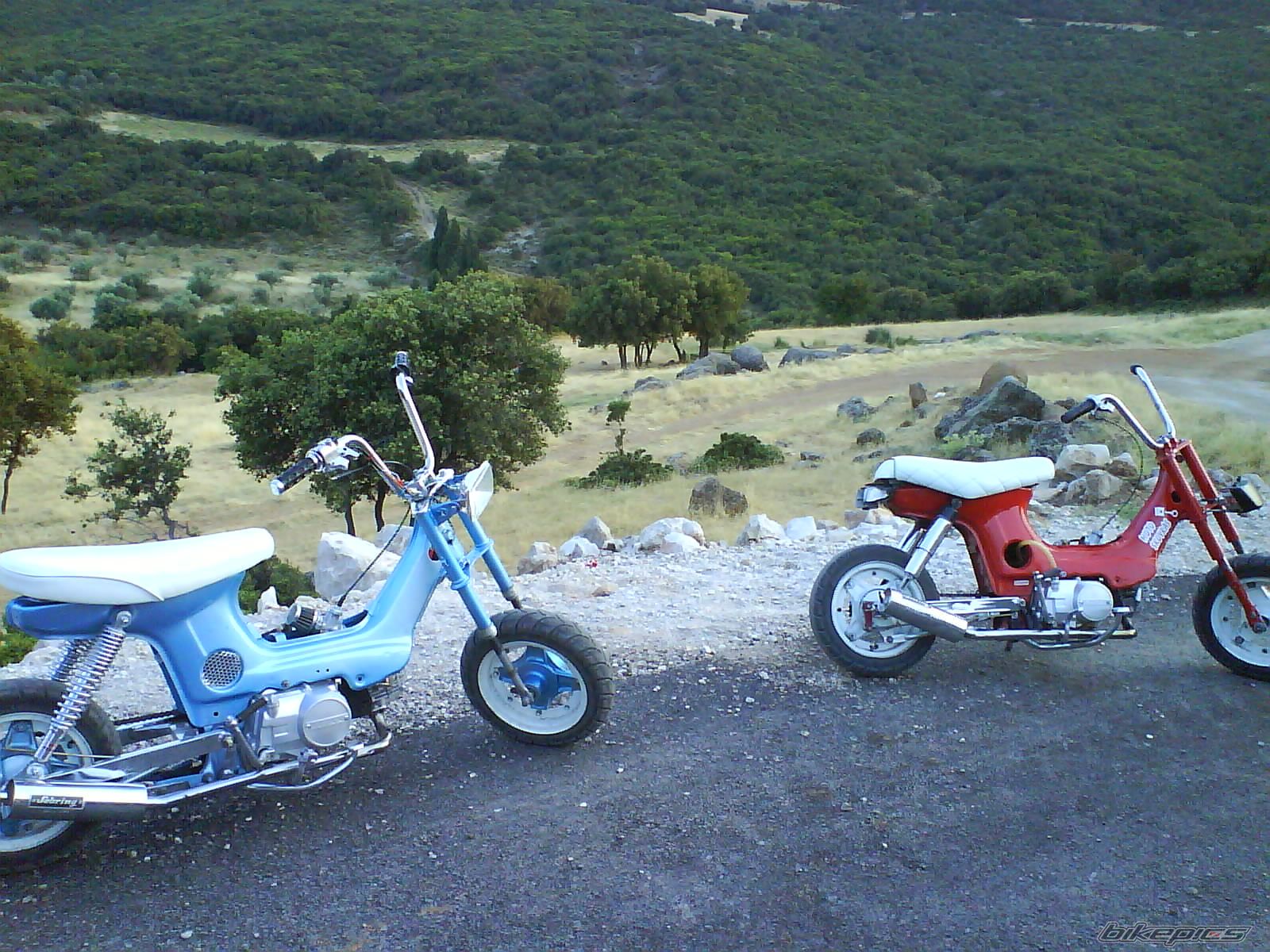 Photo 1386291