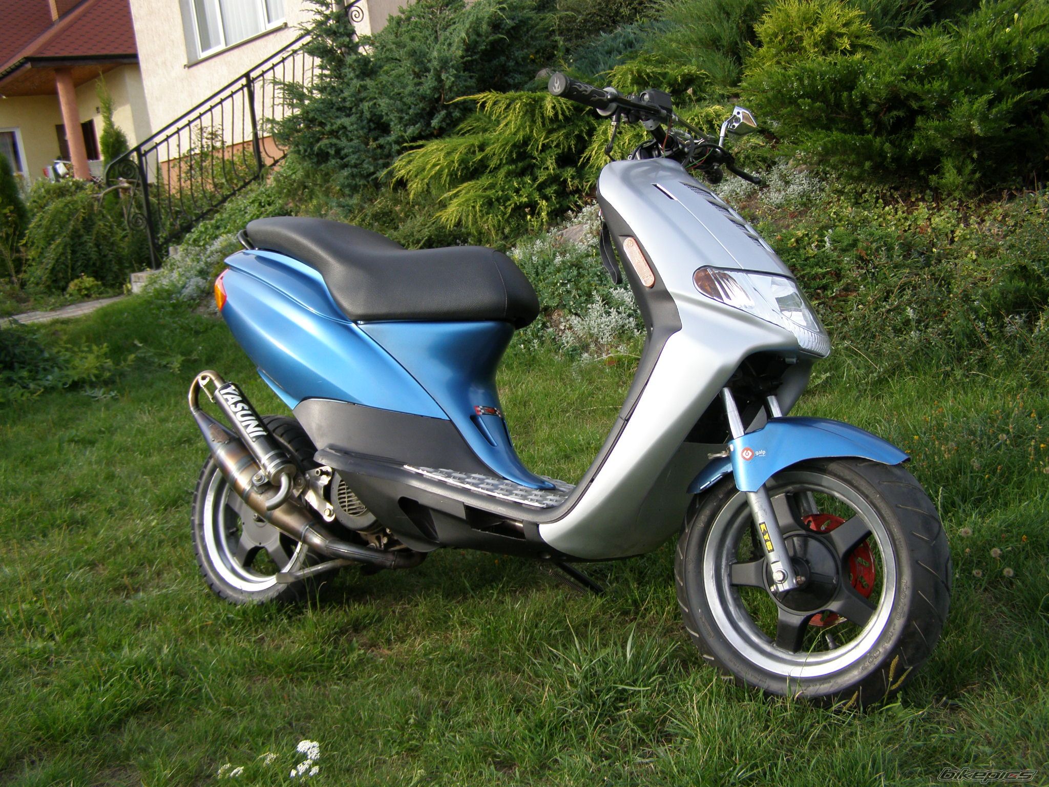 Photo 1386297