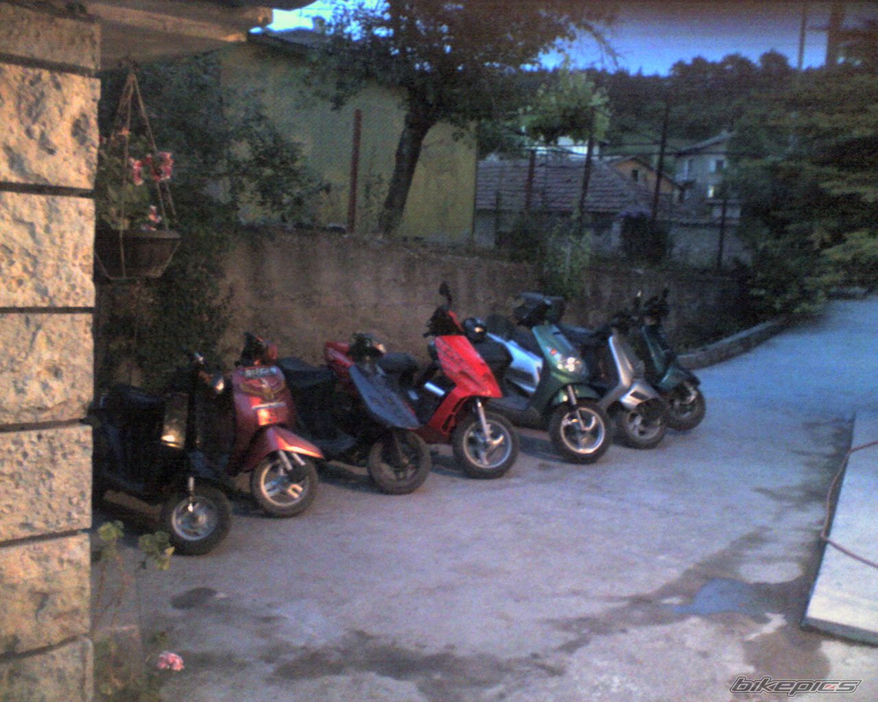 Photo 1386318
