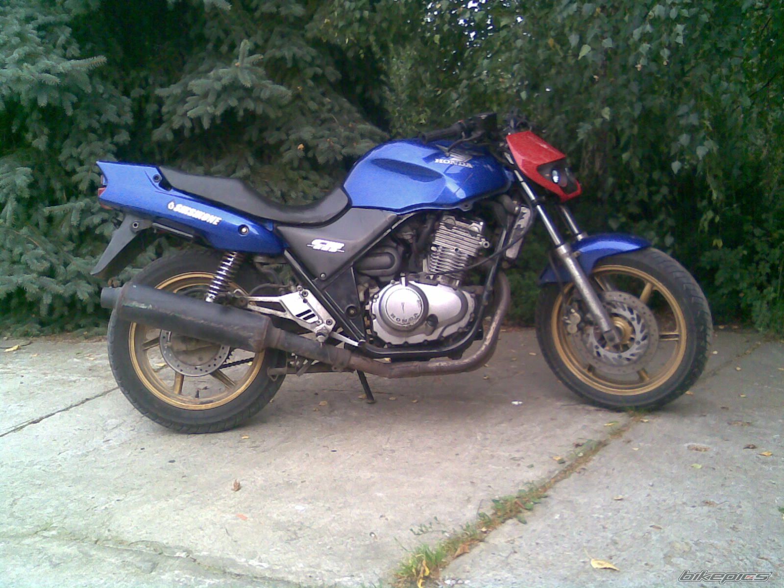 Photo 1386373