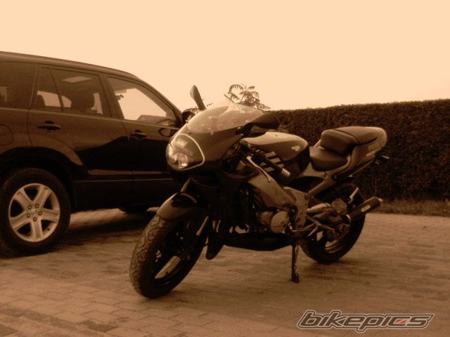 Photo 1386388