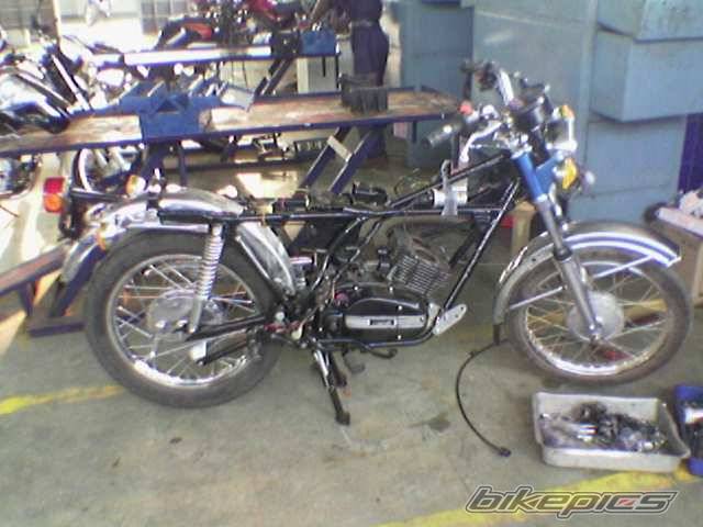 Photo 138639