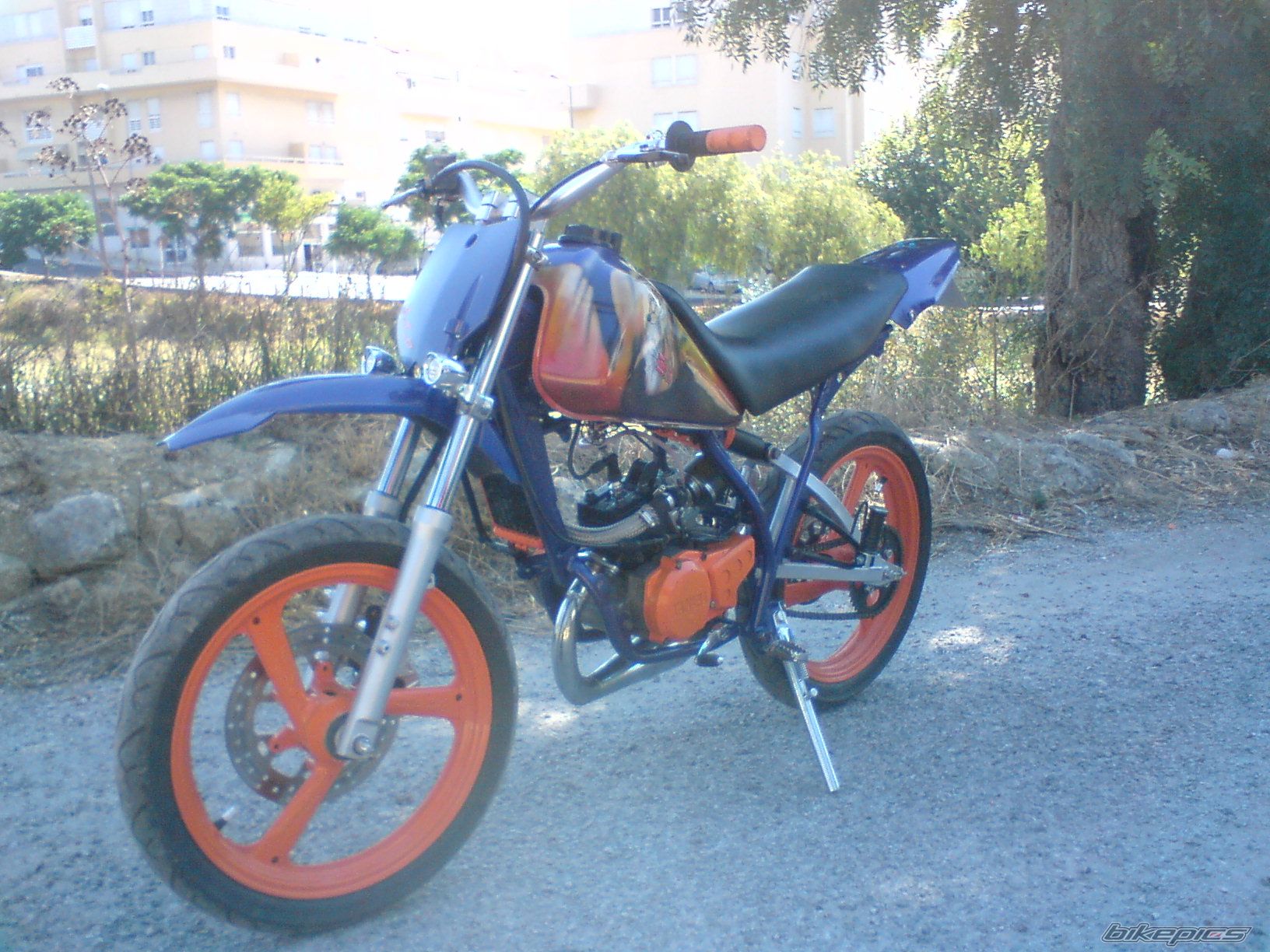 Photo 1386413