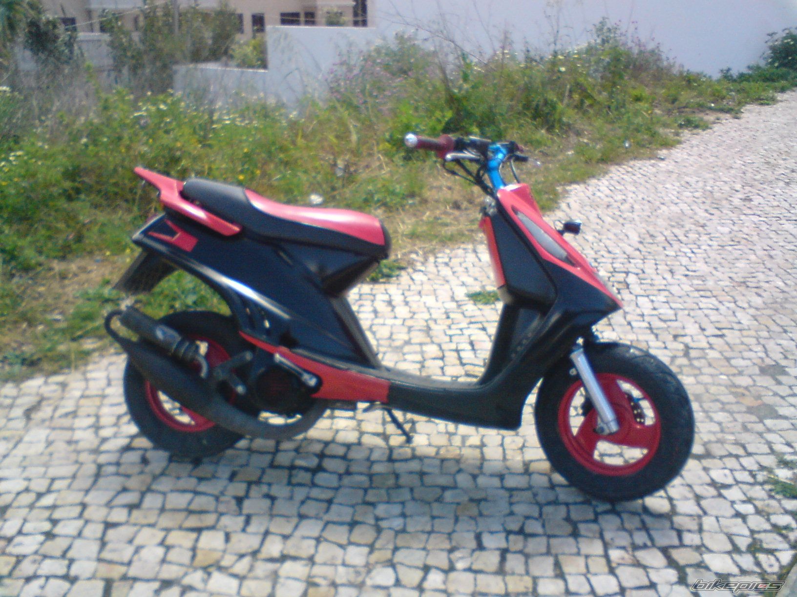 Photo 1386440