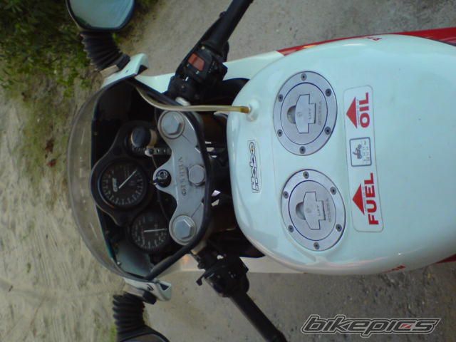 Photo 1386458