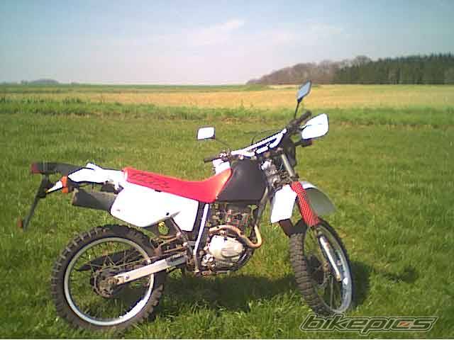 Photo 138647