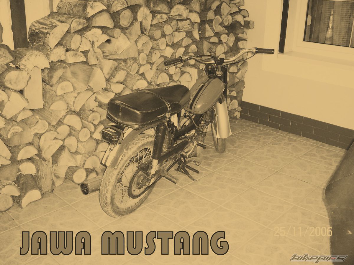 Photo 1386515