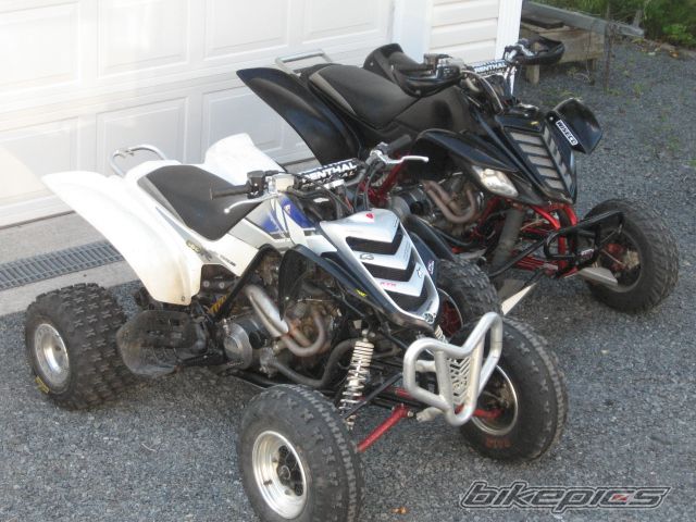 Photo 1386564