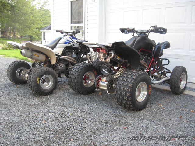 Photo 1386566