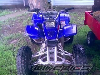 Photo 1386596
