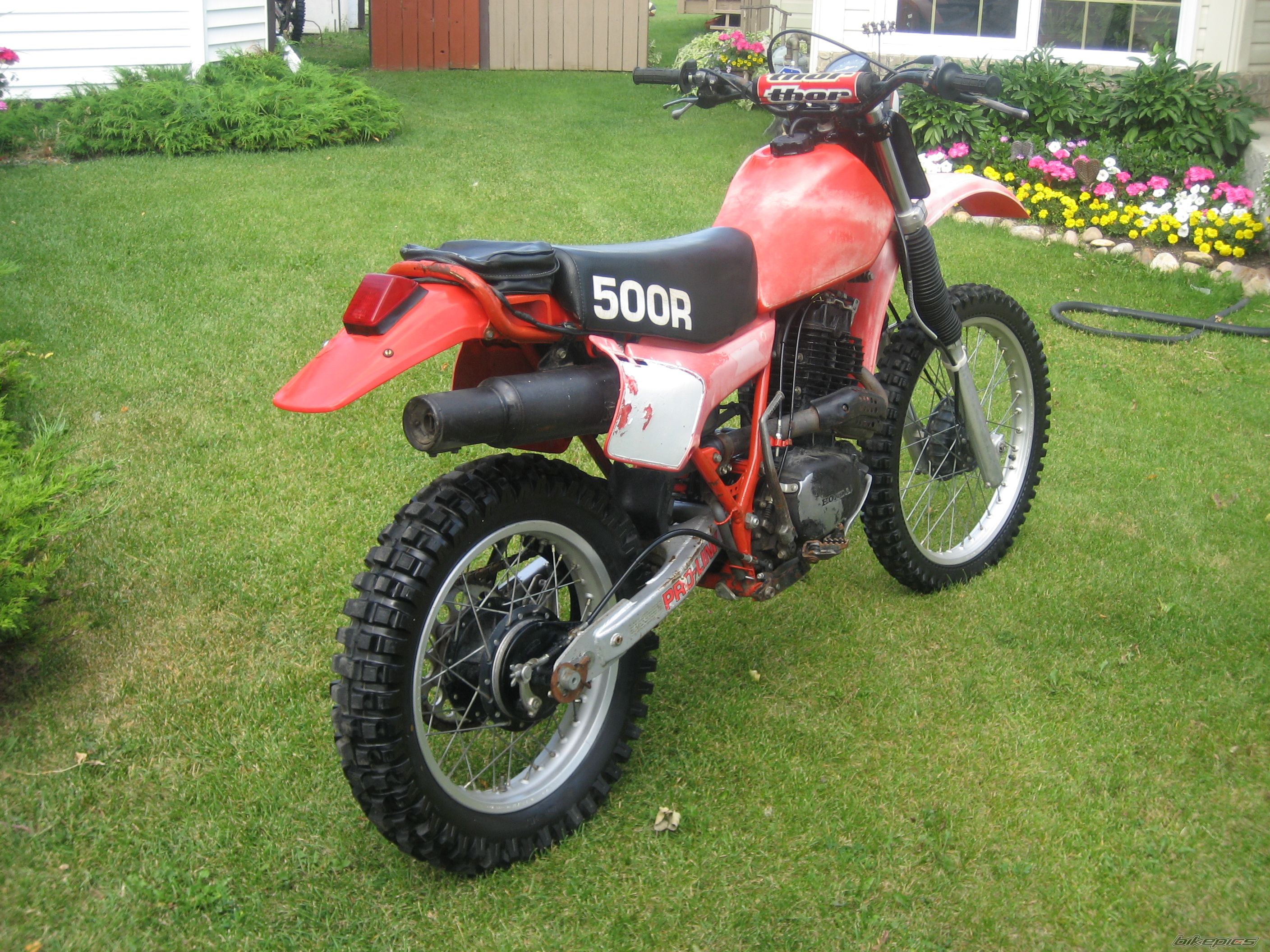 Photo 1386604