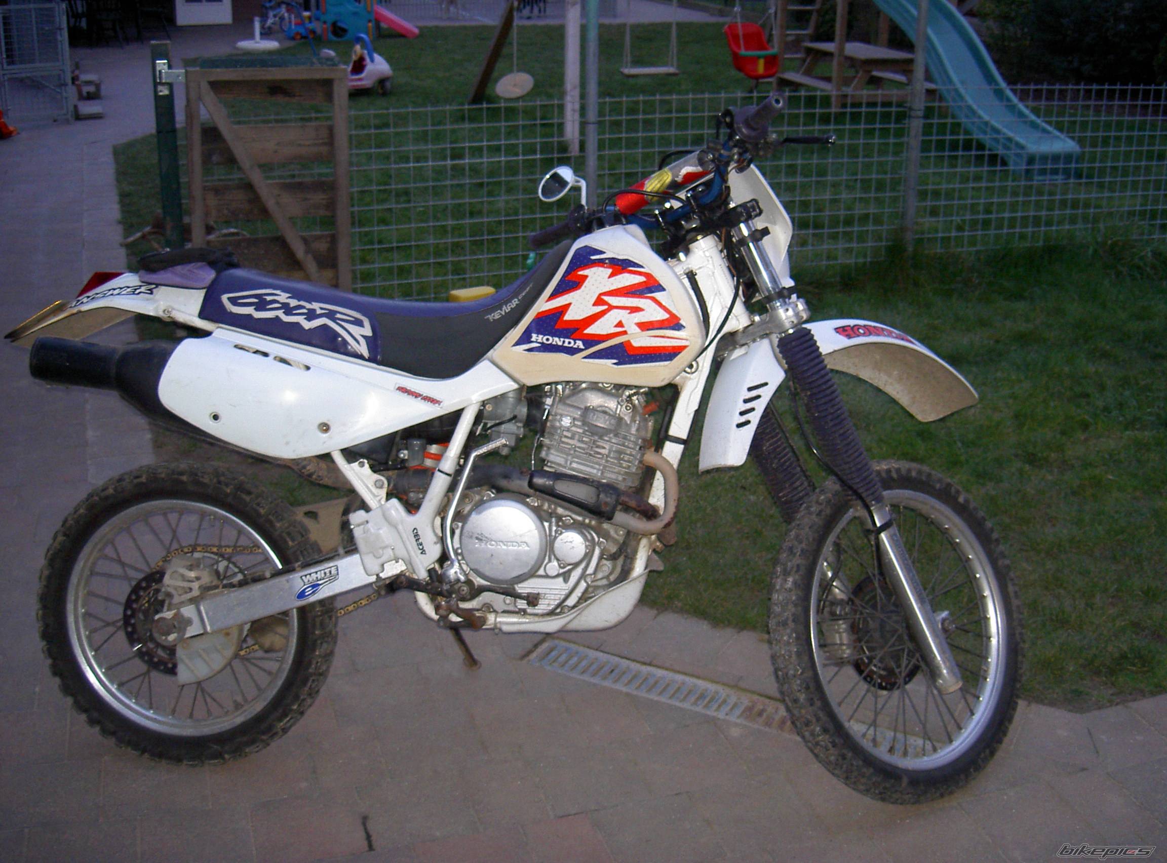 Photo 138663
