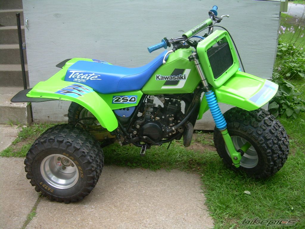 Photo 1386637