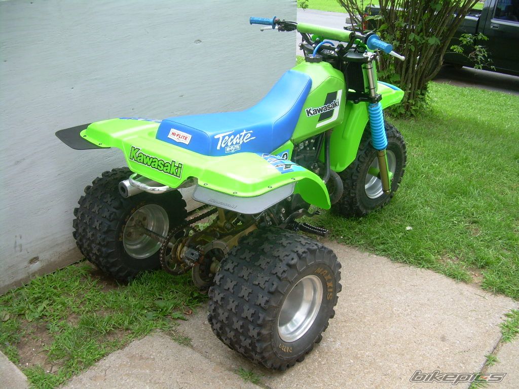 Photo 1386639