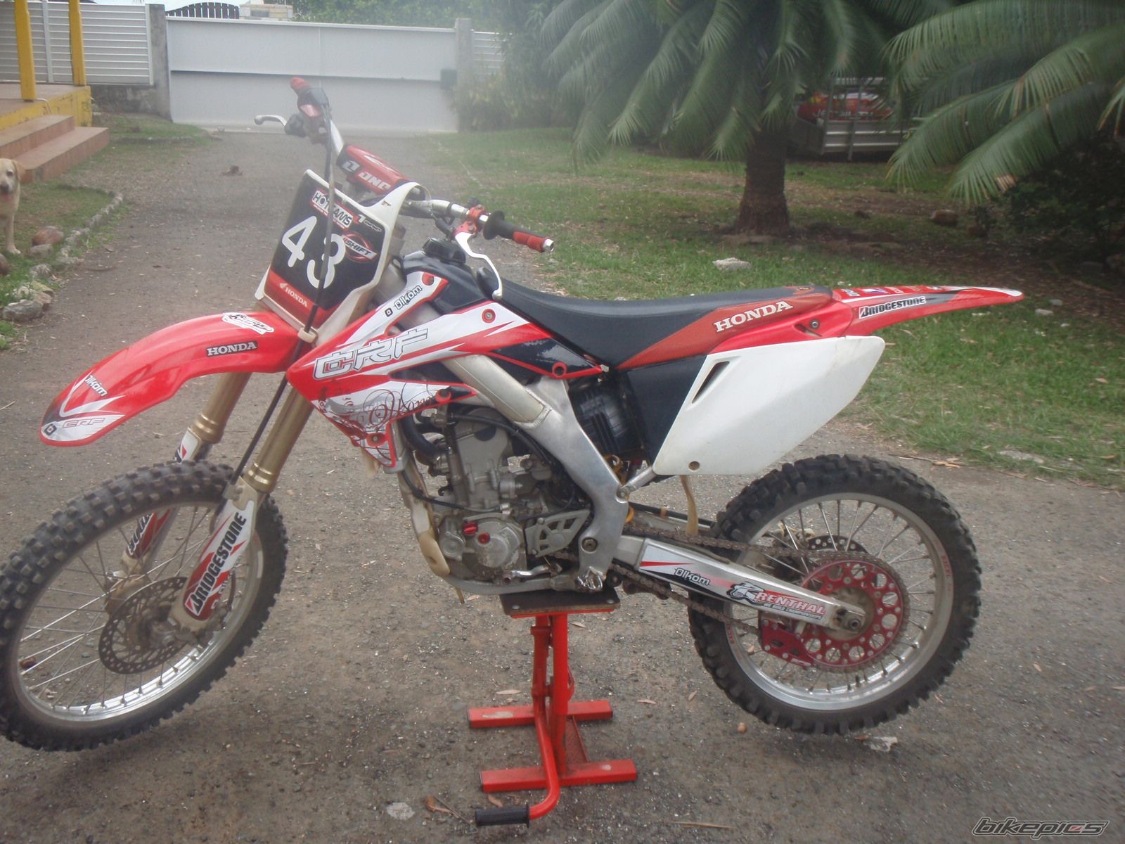 Photo 1386644