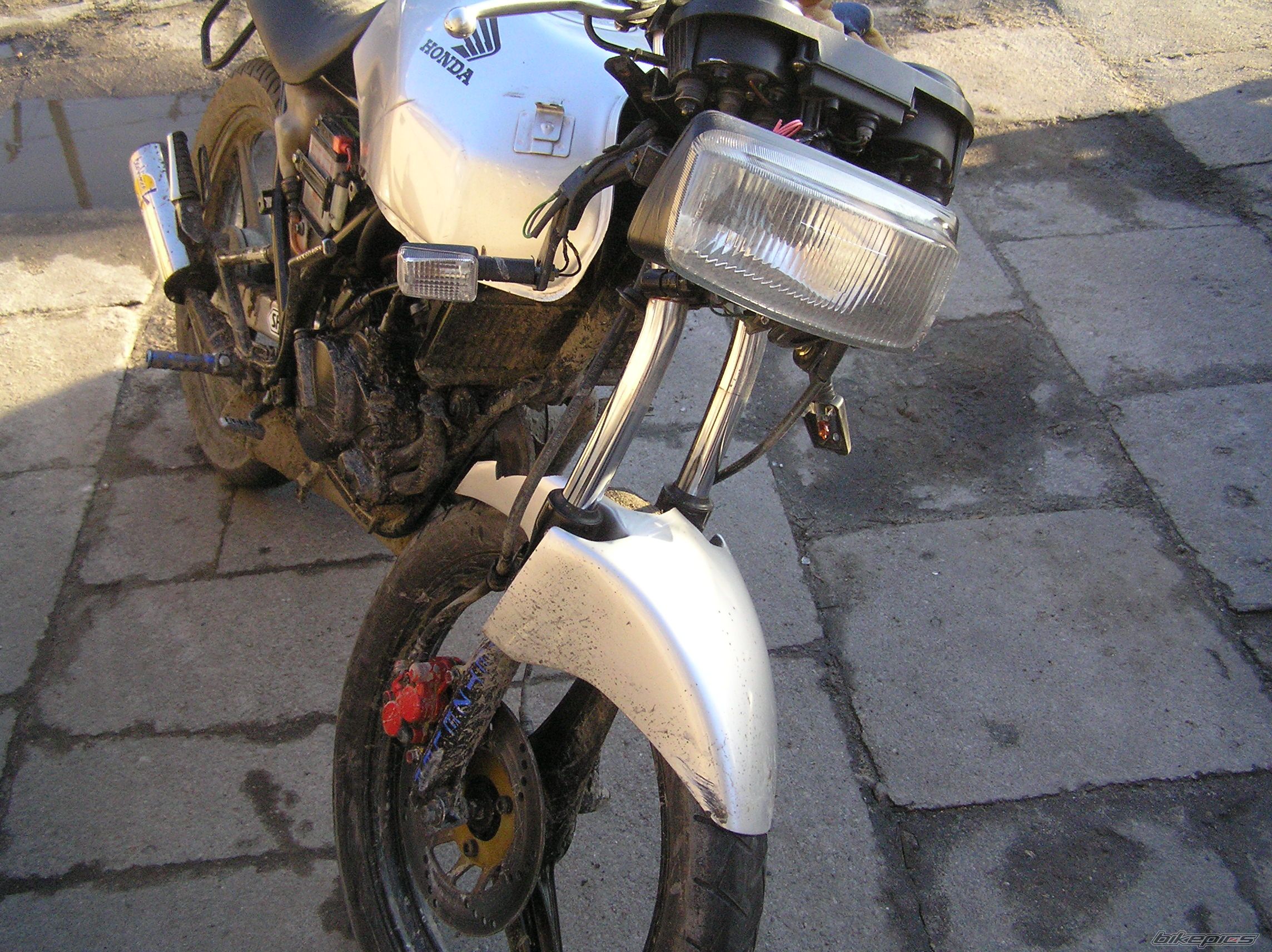 Photo 1386751