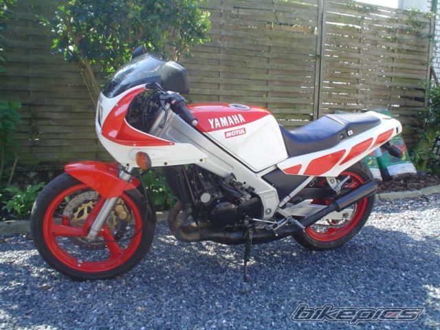 Photo 1386790
