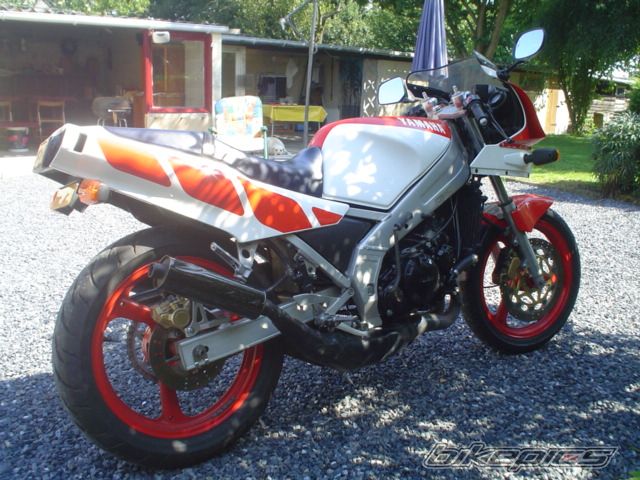 Photo 1386793