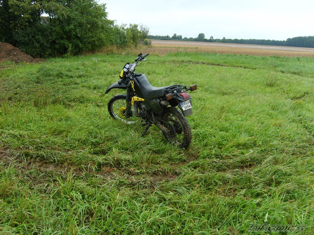 Photo 1386897